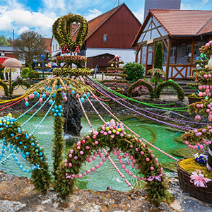 300x300Germanyflowers