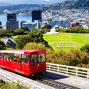 300x300NewZealandcity